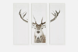 Stag - Set of Three Printed Frames