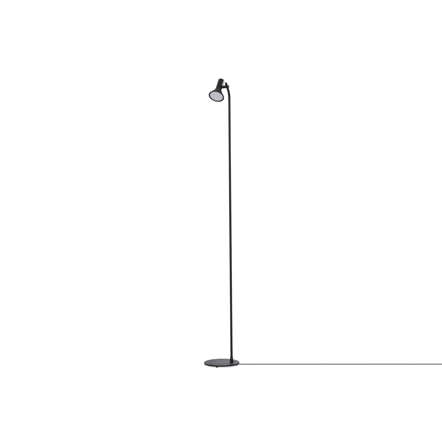 Asha - Floor Lamp in Black Metal by Ligne Roset
