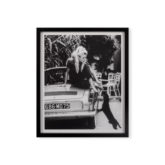 Brigitte Bardot - Impression