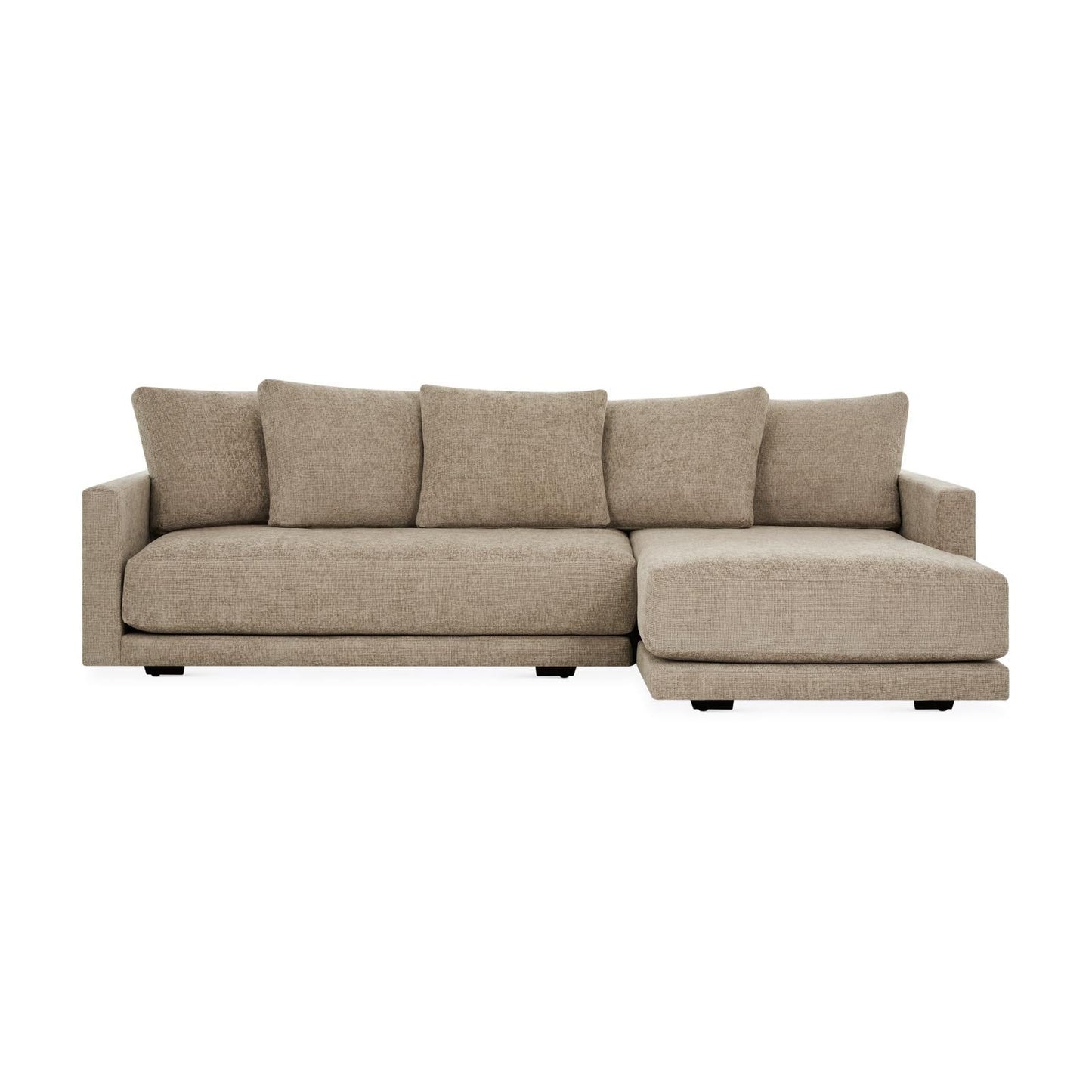 Erika Customizable Sectional Sofa