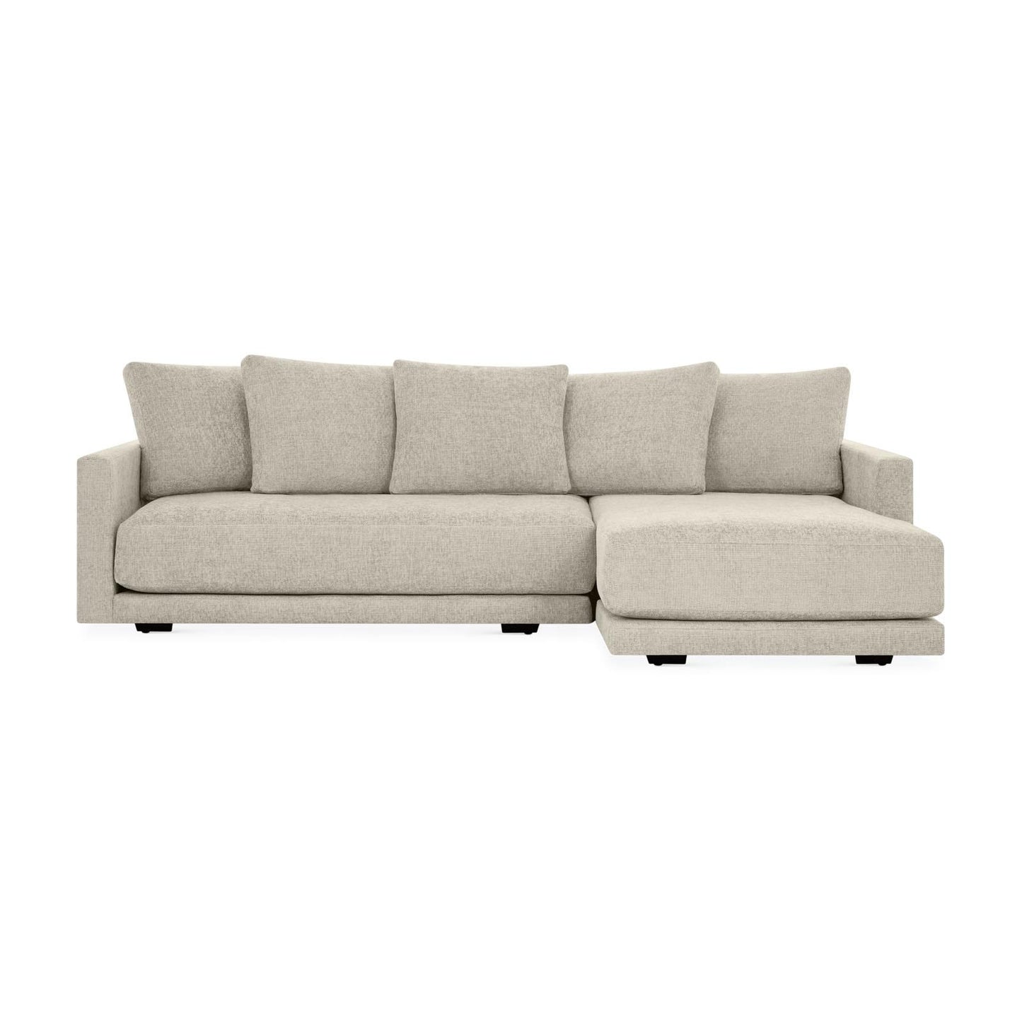 Erika Customizable Sectional Sofa