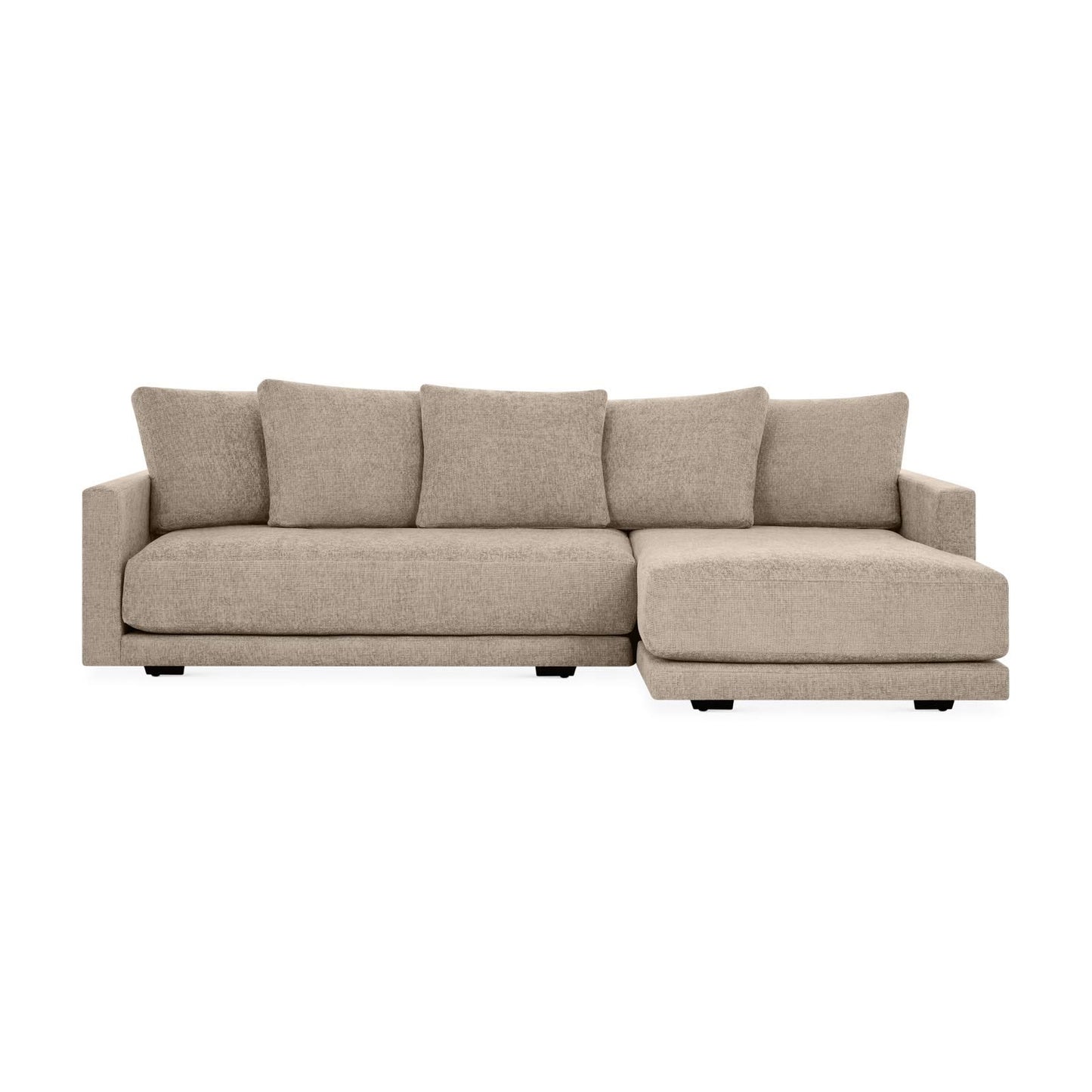 Erika Customizable Sectional Sofa