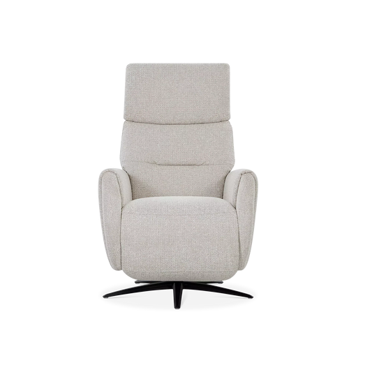 Skinner - Power Recliner with Swivel Base