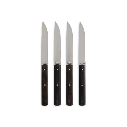 Ensemble de couteaux à steak en acier inoxydable, 4 pièces