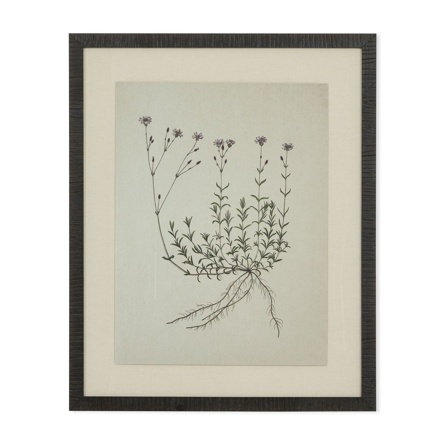 Tableau Natural botanical I