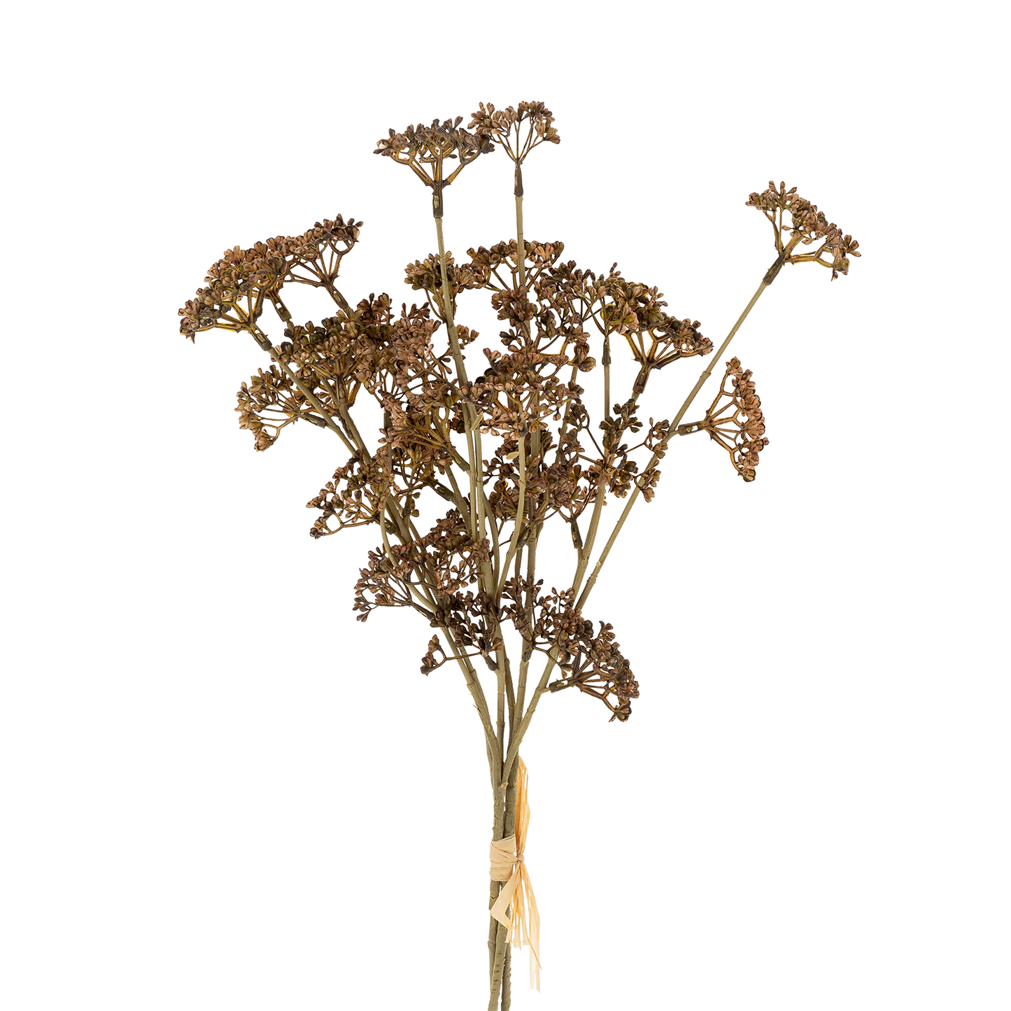 Meadow Grass - Bouquet delicate sprigs