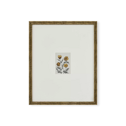 Flores - impression florale avec cadre