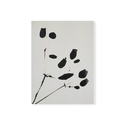 Wildflower - impression florale avec cadre