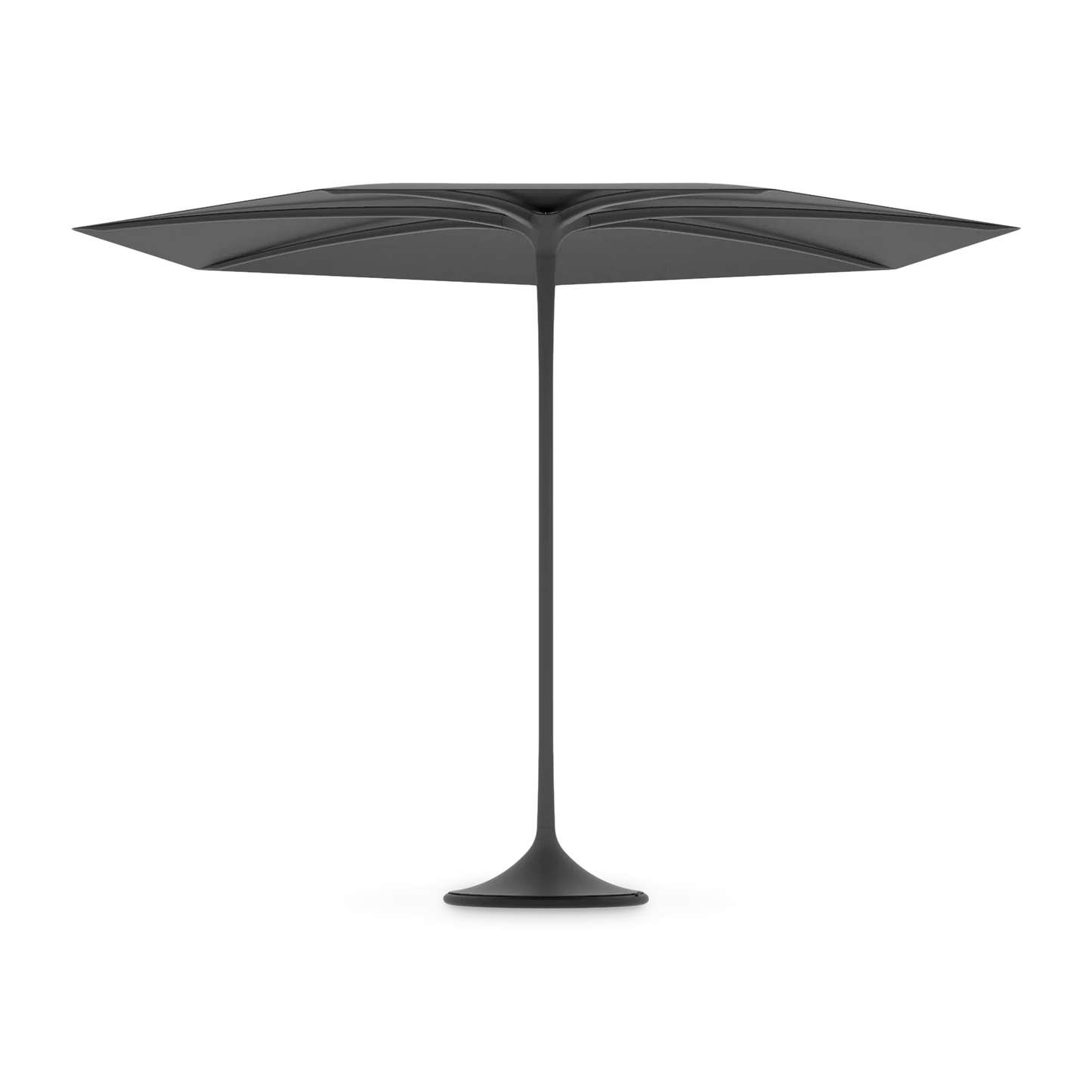Palma Umbrella