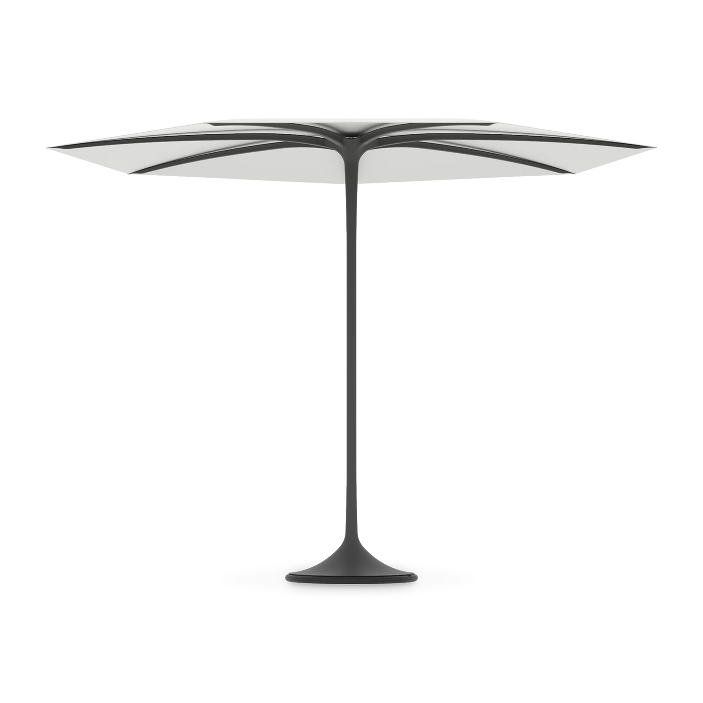 Palma Umbrella