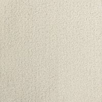 Altro Snow swatch