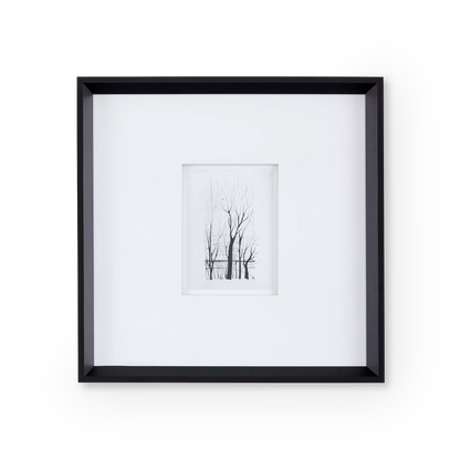 Tree Etching Print