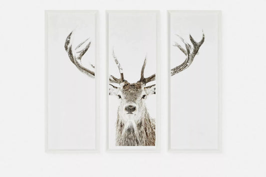 Stag - Ensemble de trois cadres imprimés