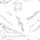 Clear Glass swatch