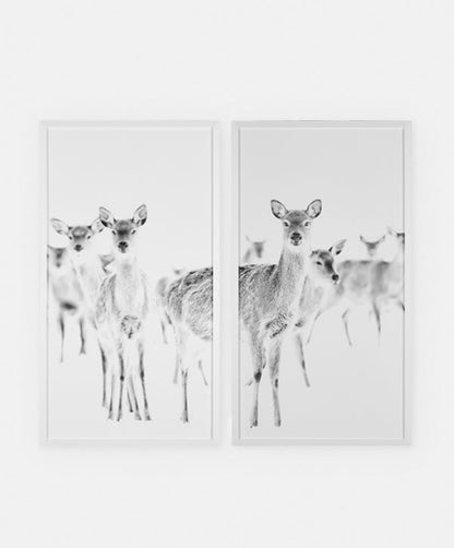 Chevreuils - Set of Two Printed Frames