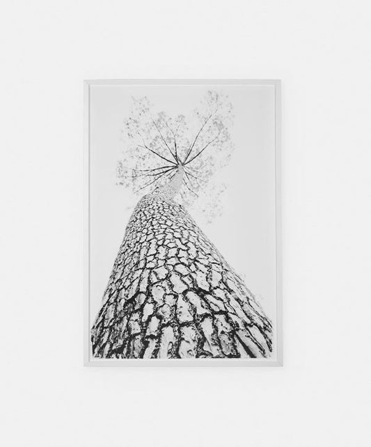 Standing Tall - Cadre avec impression
