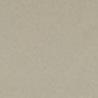 Beige swatch