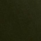 Velvet, Green swatch