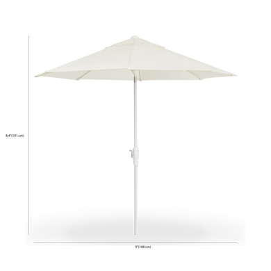 Product Dimensions image
