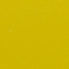 Mustard swatch