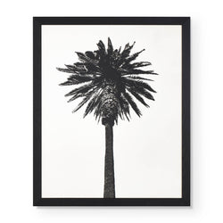 Impression Palm Tree