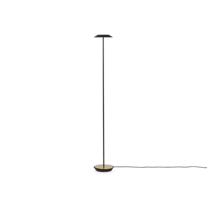 Royyo - LED Floor Lamp