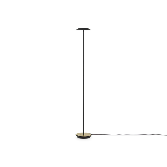 Royyo - LED Floor Lamp