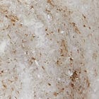 Marble swatch