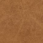 Brown swatch