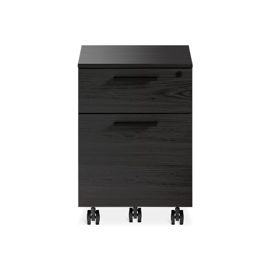 Linea 6227 - Mobile Filing Cabinet by BDI