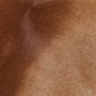 Brown swatch