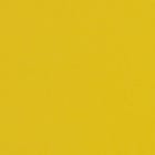 Yellow swatch