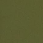 Green swatch