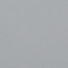 Silver Grey swatch