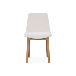 Calixte - Dining Chair