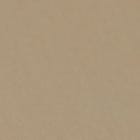 Beige swatch