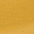 Mustard swatch