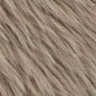 Taupe swatch