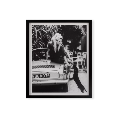 Brigitte Bardot - Impression