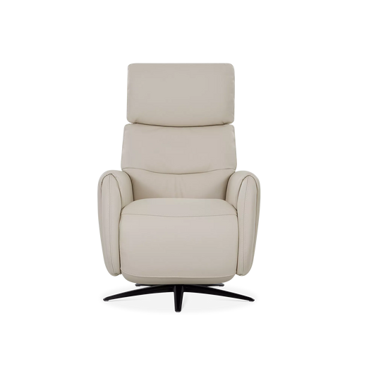 Skinner - Power Recliner with Swivel Base