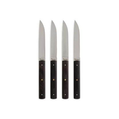 Hazaki - set of 4 japanese steak knives