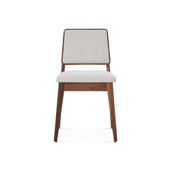 Zelie - Dining Chair