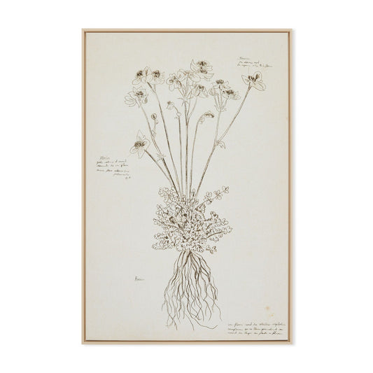 Botanique artwork