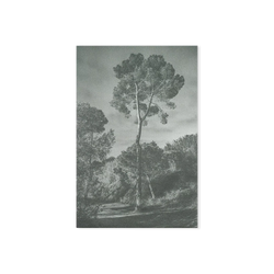 Arbores painting