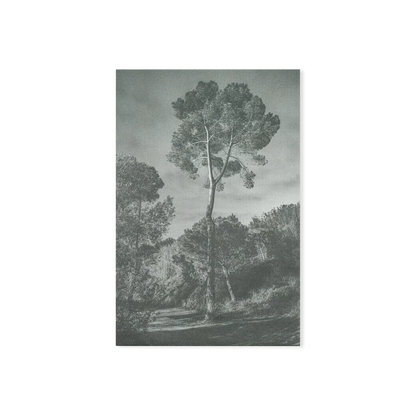 Arbores painting