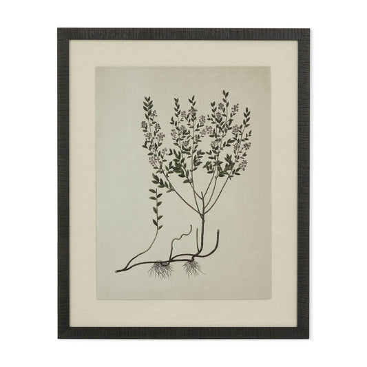 Natural botanical II artwork