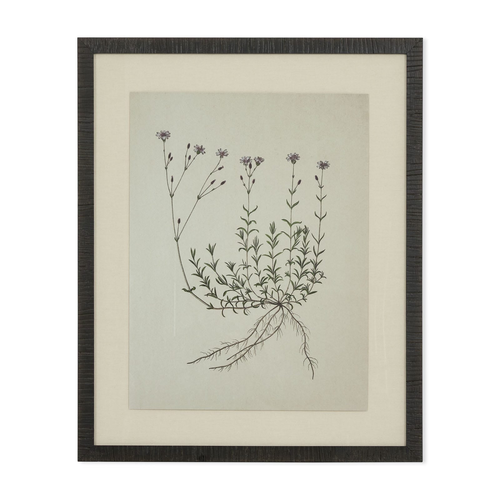 Botanical Tableau Natural Botanical I, artwork with floral motif | MUST – Must Société