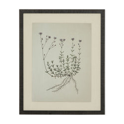 Tableau Natural botanical I