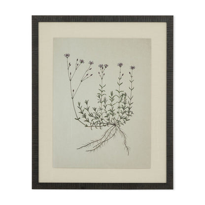 Tableau Natural botanical I