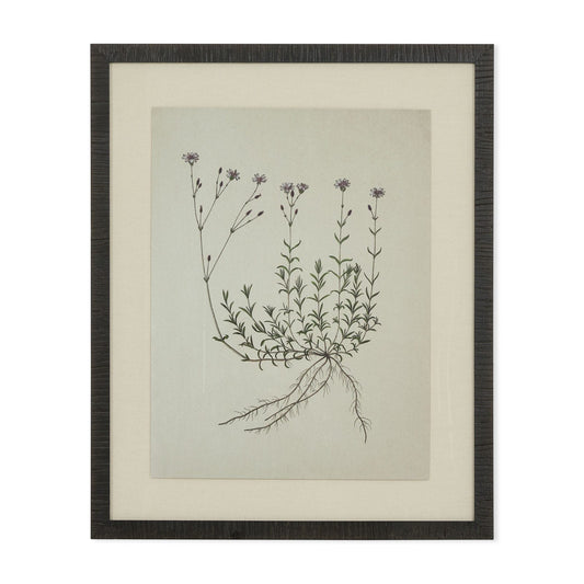 Tableau Natural botanical I